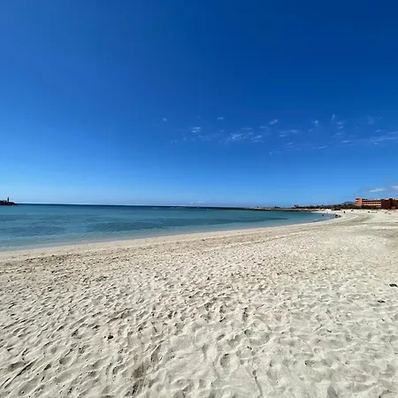 Apartamento One Bedroorm Pool View At 200m From The Beach *